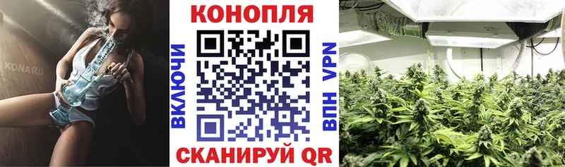 Каннабис план мега ТОР Можга